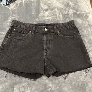 NWOT shorts